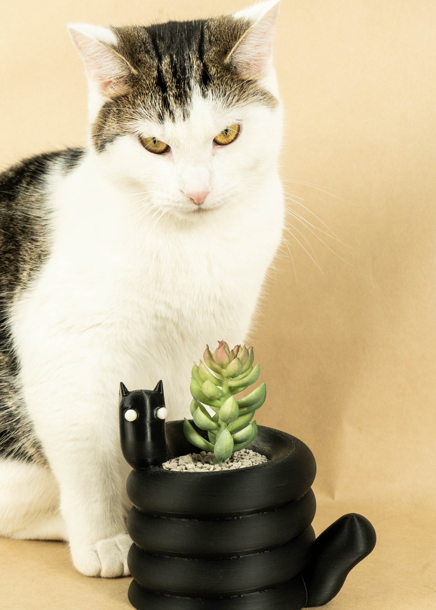 Goth Cat Desk Set