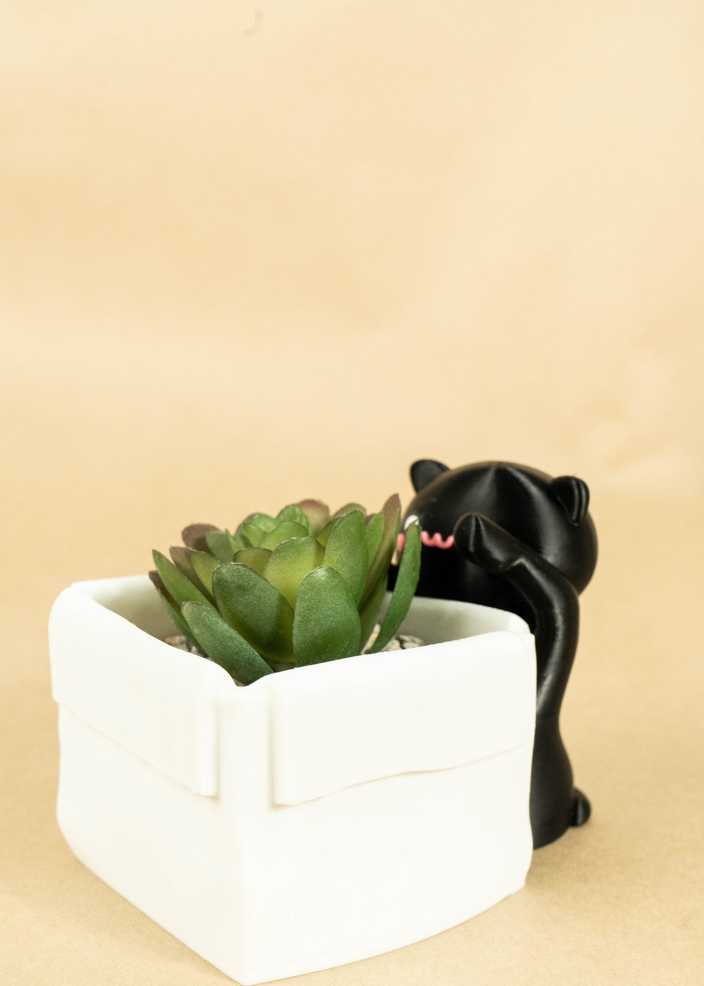 Kawaii Cat with a Planter Box