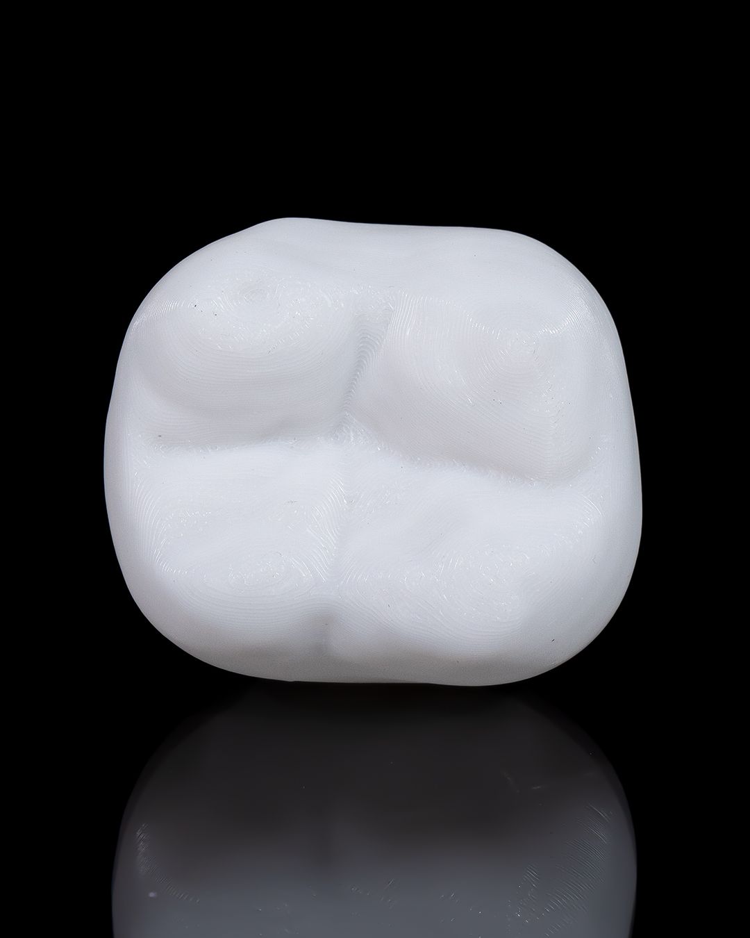 Healthy Premolar Tooth - 3D Printed Dental Replica